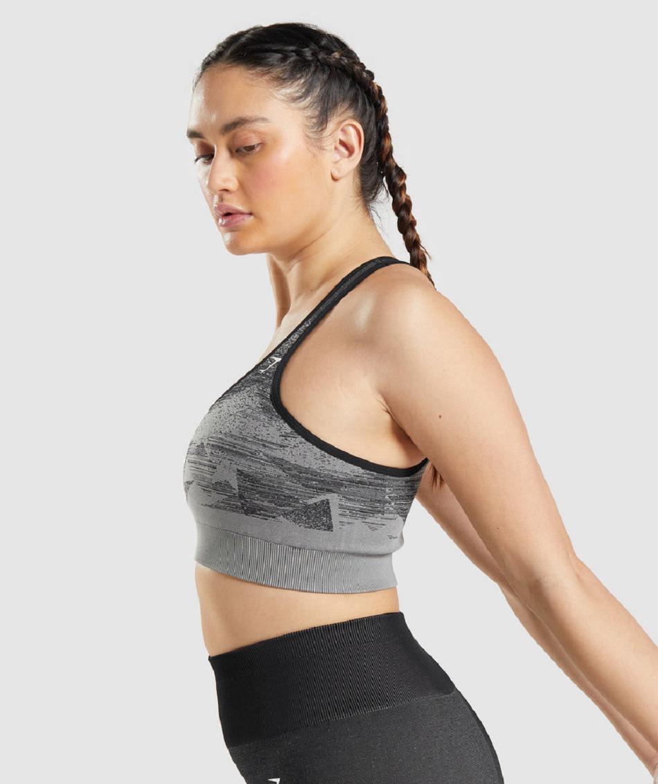 Gymshark Adapt Ombre Seamless Ženske Sportski Grudnjak Crne | HR 3331PJJ